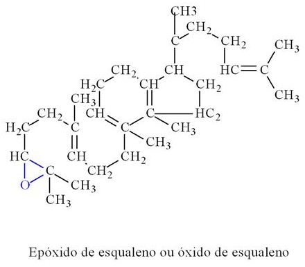 Formação do óxido de esqualeno