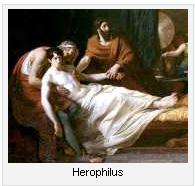 Herophilus