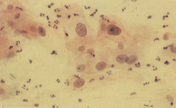 Clique para retornar